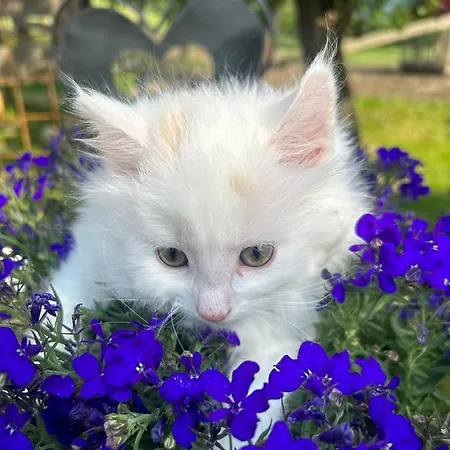 Urlaub Am Bauernhof Familie Roessler Vlg. Spor Pols
