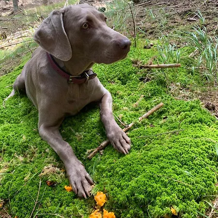 Urlaub Am Bauernhof Familie Roessler Vlg. Spor *