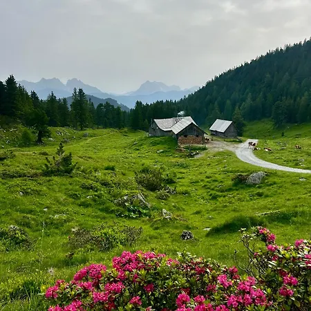 Daire Urlaub Am Bauernhof Familie Roessler Vlg. Spor *