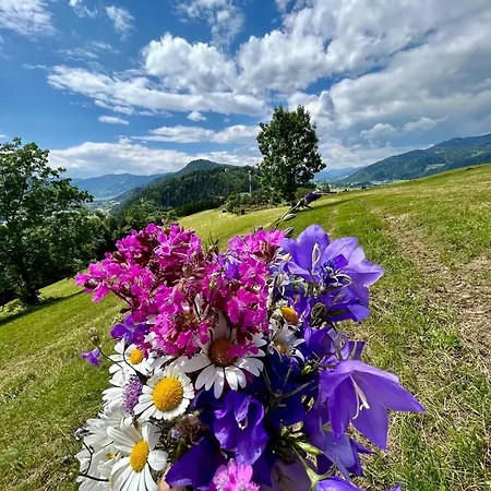 Daire Urlaub Am Bauernhof Familie Roessler Vlg. Spor