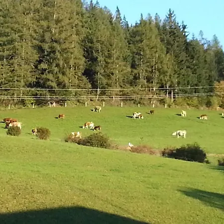 Urlaub Am Bauernhof Familie Roessler Vlg. Spor *