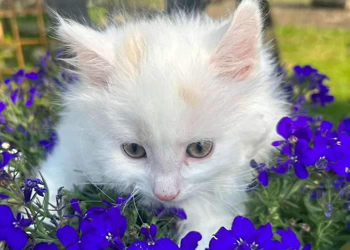 Urlaub Am Bauernhof Familie Rossler Vlg. Spor Pols