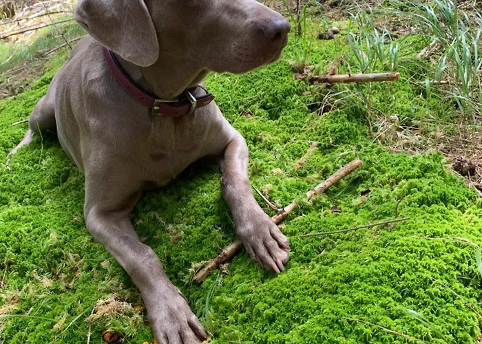 Urlaub Am Bauernhof Familie Rossler Vlg. Spor *