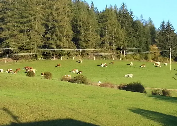 Urlaub Am Bauernhof Familie Roessler Vlg. Spor *